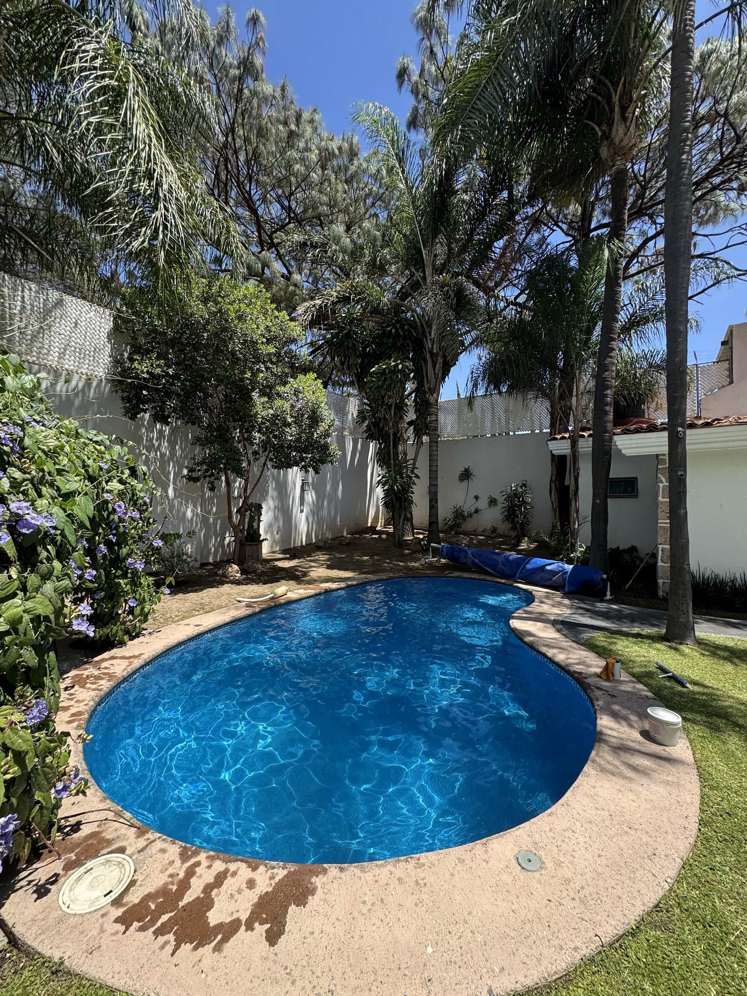 Alberca residencial impecable cuidada por SEA