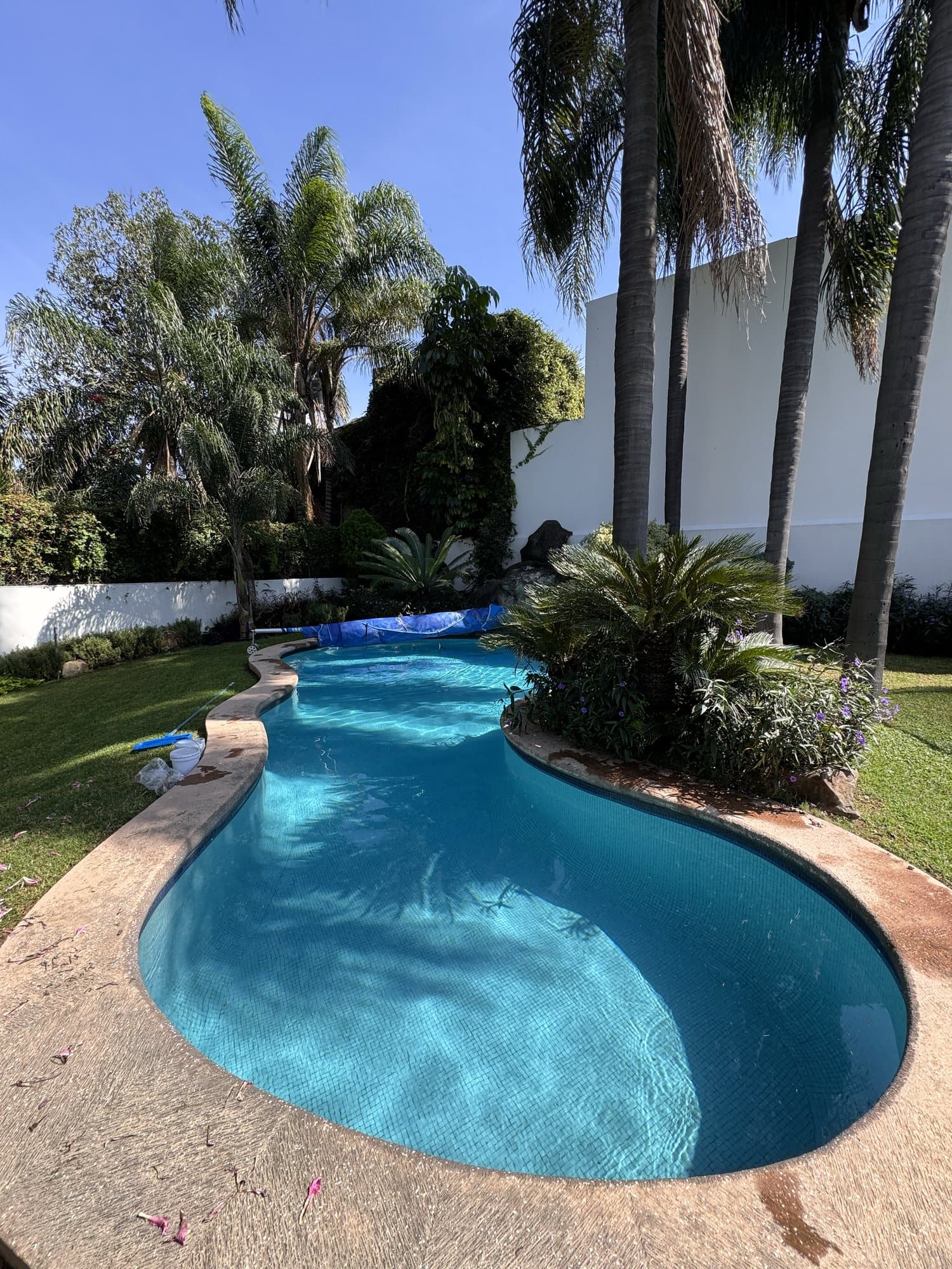 Alberca residencial de lujo con agua cristalina y mantenimiento profesional de SEA