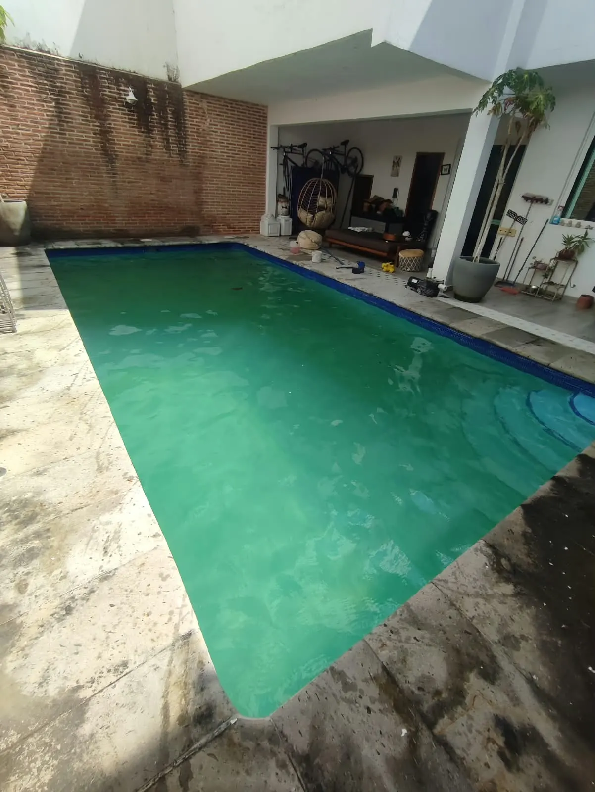 Alberca con agua verde antes del rescate
