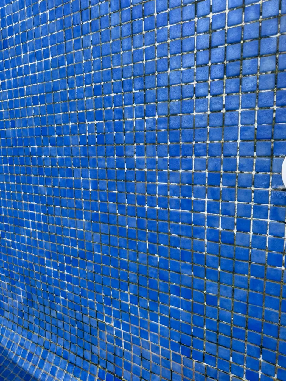 Detalle del mosaico azul durante el junteo